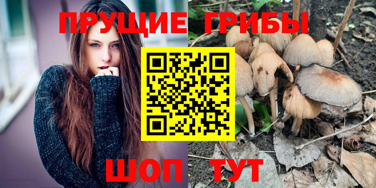 Псилоцибиновые грибы MAGIC MUSHROOMS Черкесск